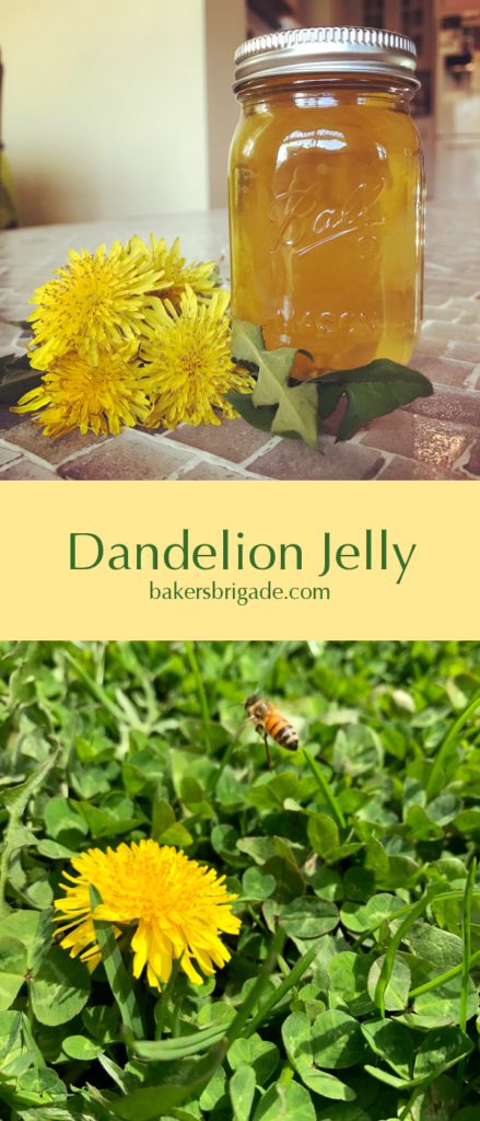 Dandelion Jelly Recipe