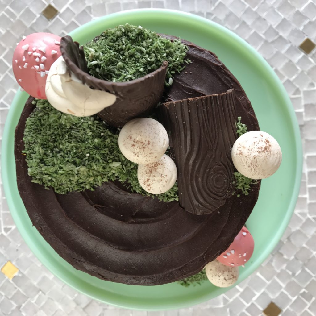 Edible Coconut Moss Woodland Cake Meringue Mushrooms Faux Bois Chocolate