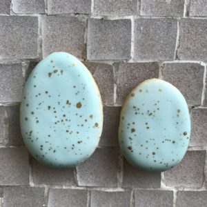 Pussy Willow Speckled Egg Cookies