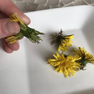 Mom's Dandelion Jelly 