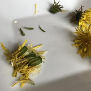 Mom's Dandelion Jelly 