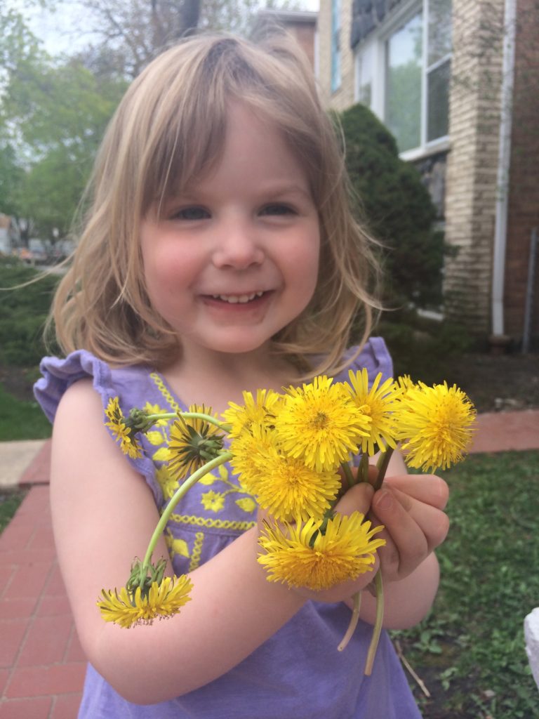 Mom's Dandelion Jelly