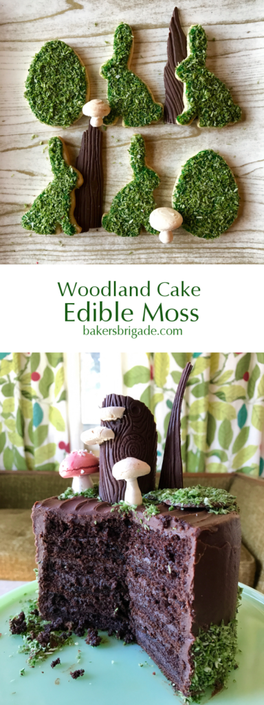 Edible Moss Woodland Cake