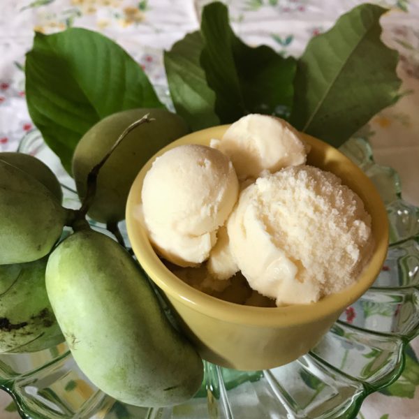 Pawpaw Ice Cream