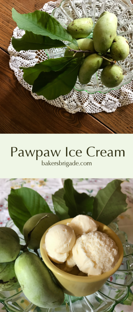 Pawpaw Ice Cream