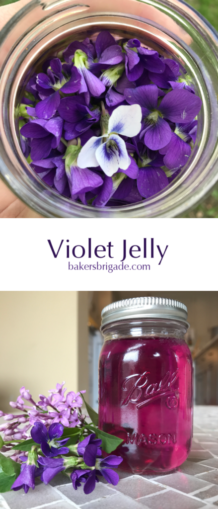 Violet Jelly