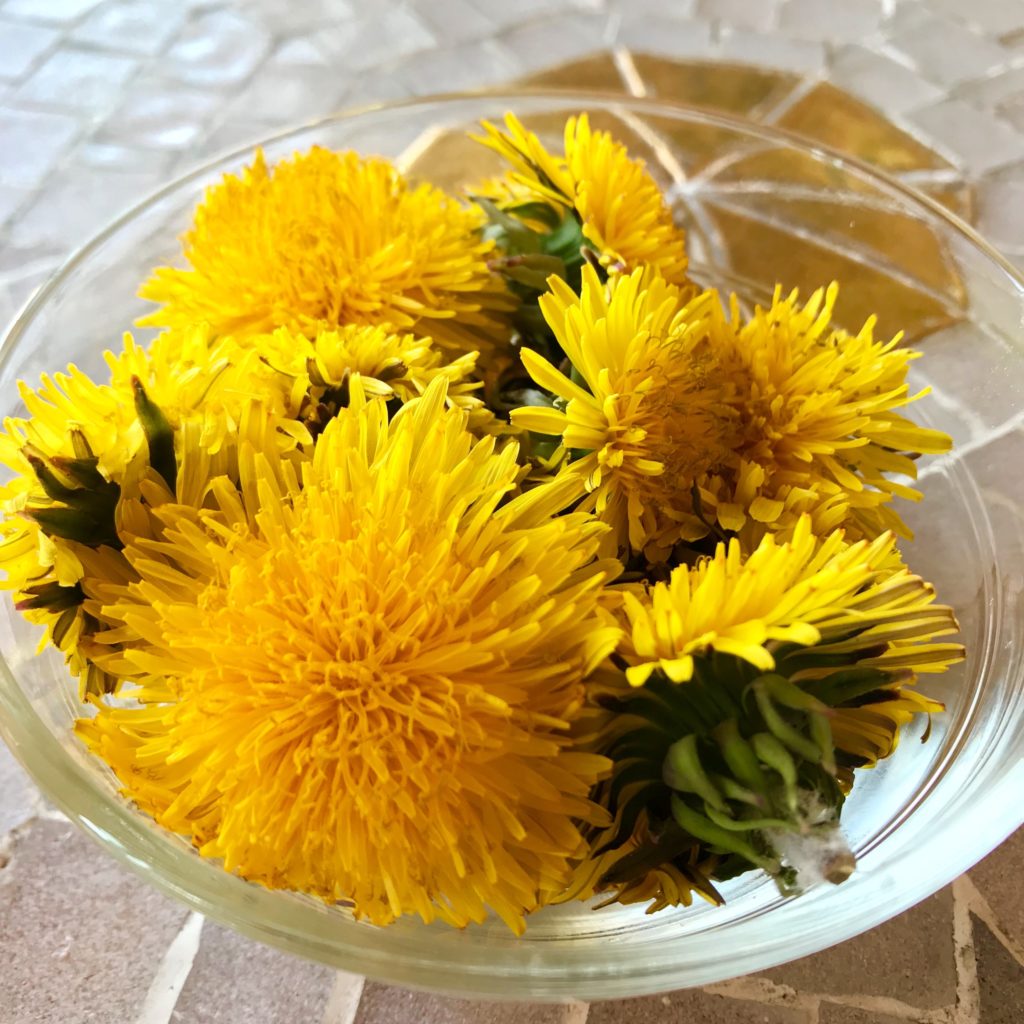 Dandelion Lemon Bars