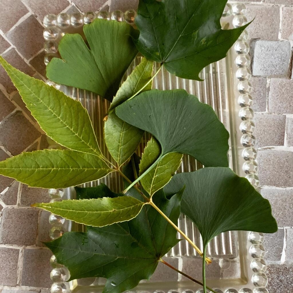 Paint and Peel Chocolate Leaves