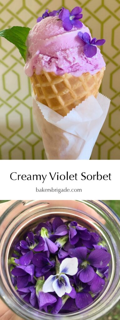 Creamy Violet Sorbet