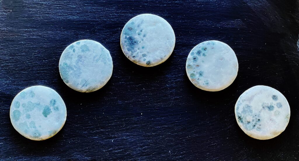 Moon Cookies