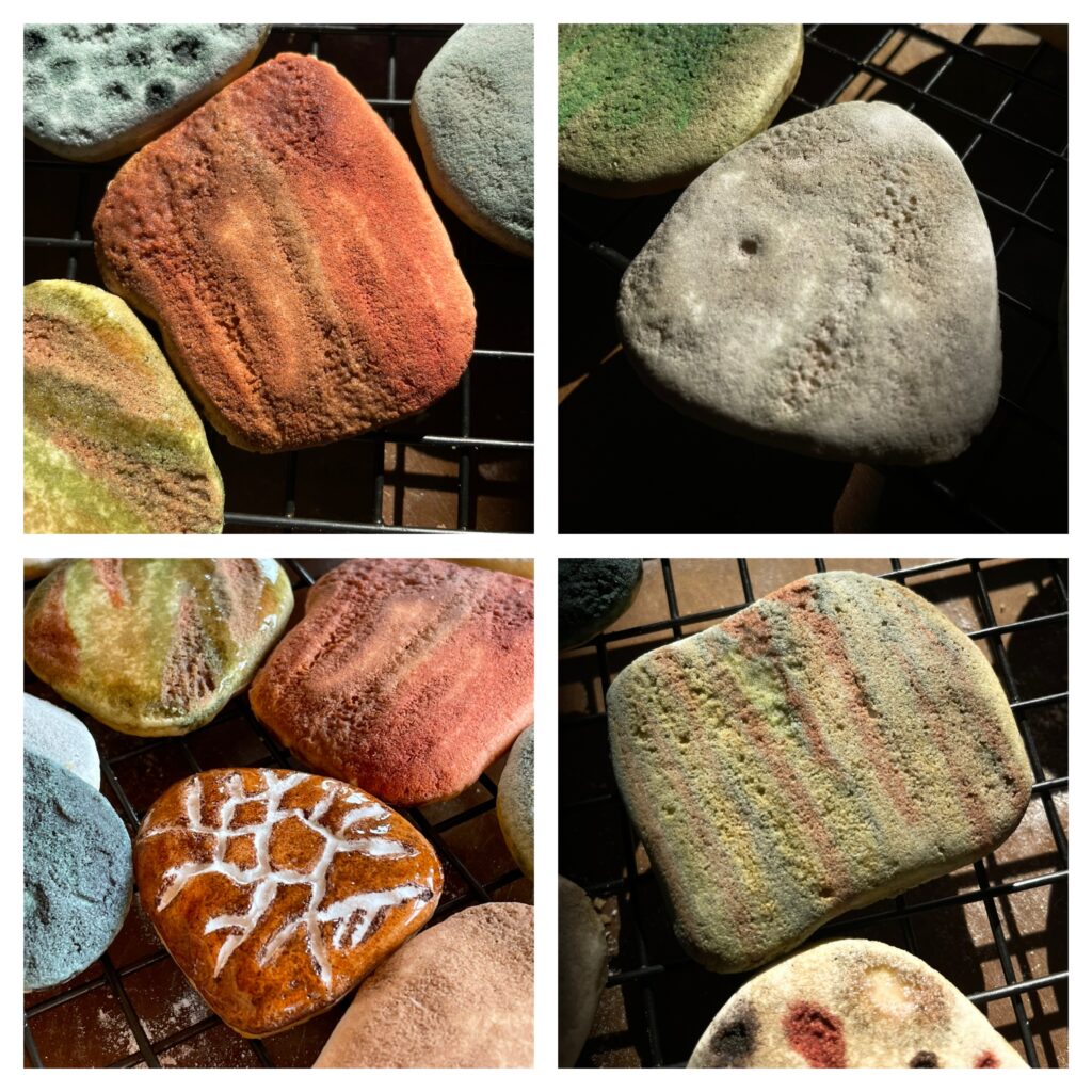 Assorted Rocks