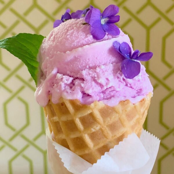 Creamy Violet Sorbet Creamy Violet Sorbet